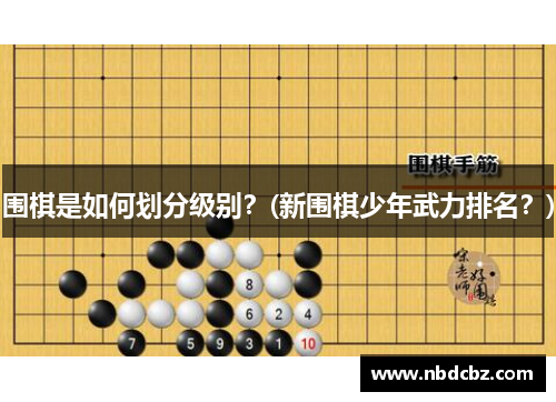 围棋是如何划分级别？(新围棋少年武力排名？)